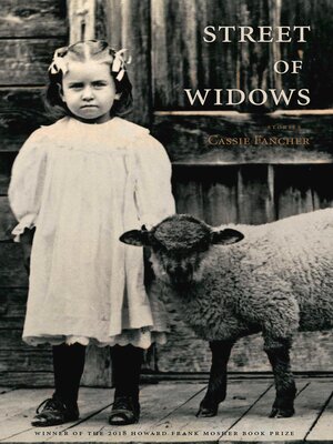 cover image of Street of Widows